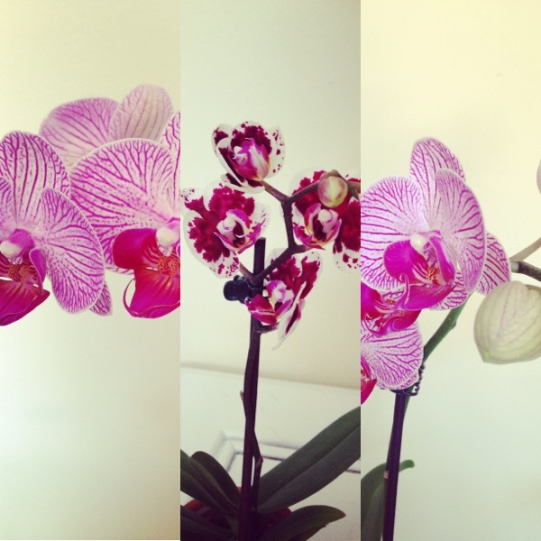 20130401-191208.jpg